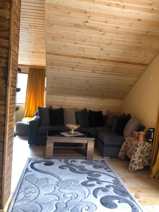 Hotel Nestt Kazbegi Esterno foto