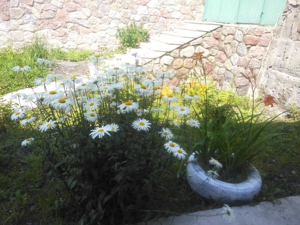 Hotel Nestt Kazbegi Esterno foto