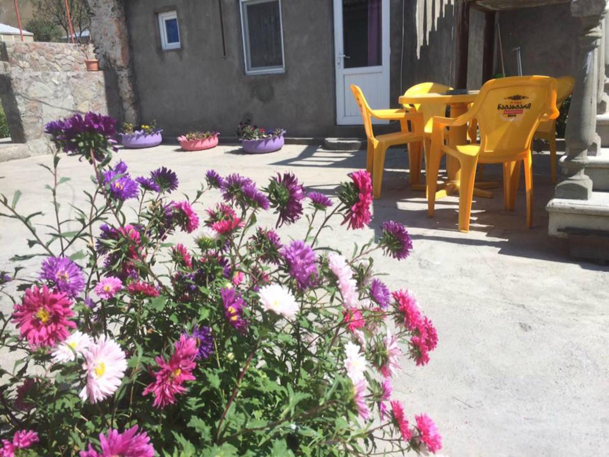 Hotel Nestt Kazbegi Esterno foto