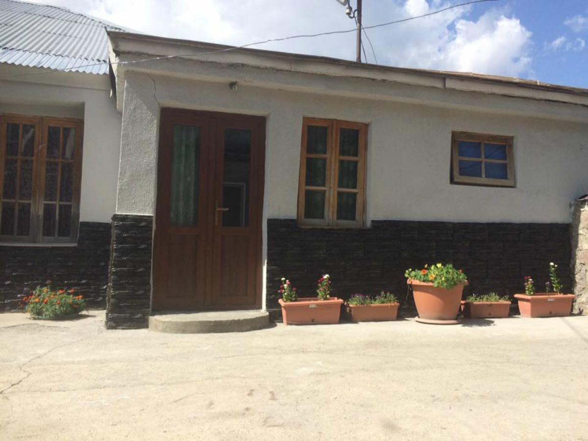 Hotel Nestt Kazbegi Esterno foto